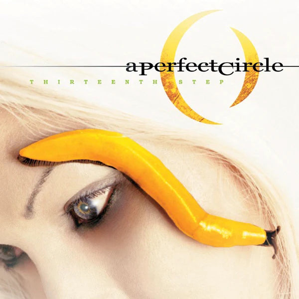 A Perfect Circle - A Perfect Circle - Thirteenth Step (LP) - Discords.nl