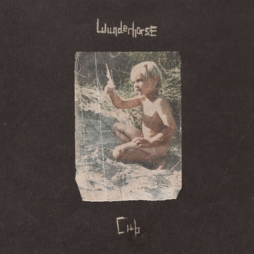 Wunderhorse - Cub (LP) - Discords.nl