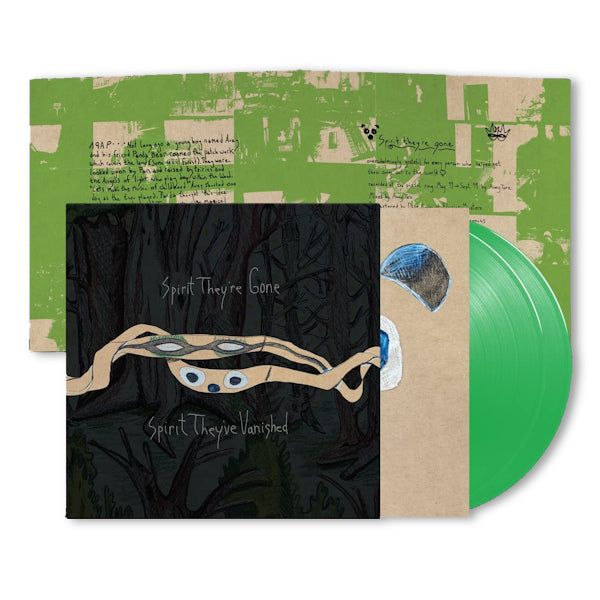 Animal Collective - Spirit they're gone, spirit they've vanished (LP) - Discords.nl