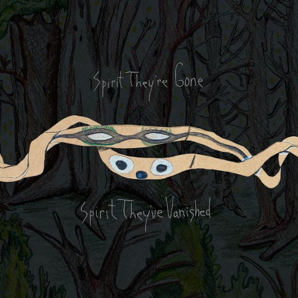 Animal Collective - Spirit they're gone, spirit they've vanished (LP) - Discords.nl