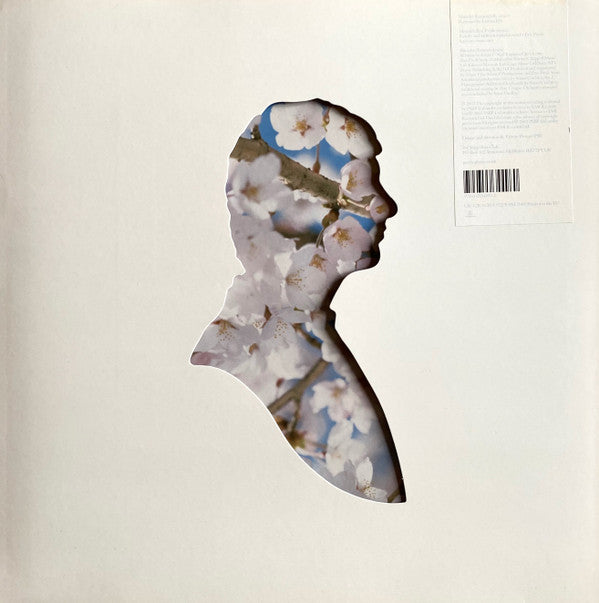 Pet Shop Boys - Miracles (12" Tweedehands) - Discords.nl