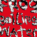 DIIV - Frog in boiling water (LP) - Discords.nl