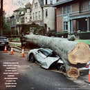 Jack Harlow - Jackman. (LP) - Discords.nl