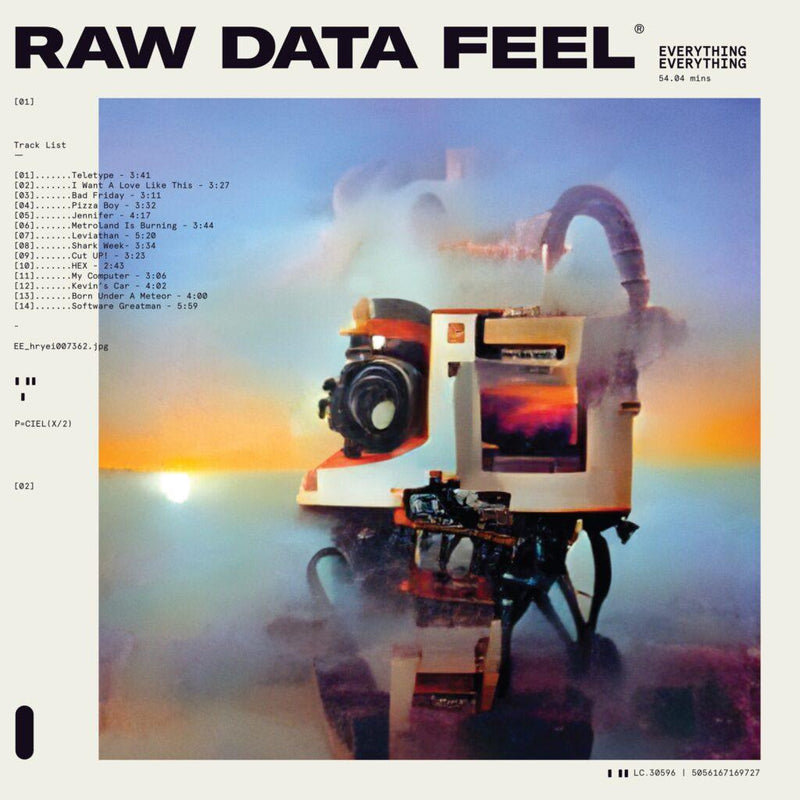 Everything Everything - Raw Data Feel (LP) - Discords.nl