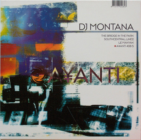 DJ Montana - The Bridge In The Park (12" Tweedehands) - Discords.nl