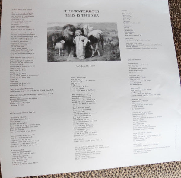 Waterboys, The - This Is The Sea (LP) - Discords.nl