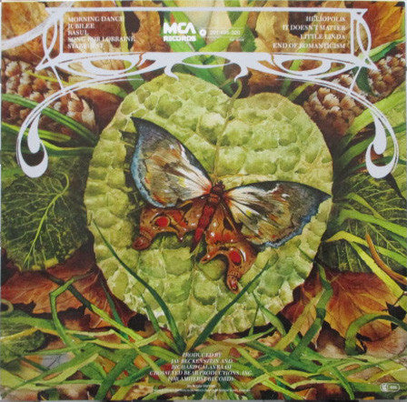 Spyro Gyra - Morning Dance (LP Tweedehands) - Discords.nl