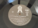 Big Punisher - Capital Punishment (LP) - Discords.nl