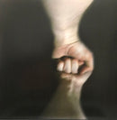 Mountain Goats, The - The Sunset Tree (LP) - Discords.nl