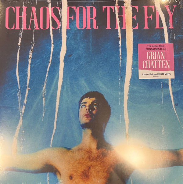 Grian Chatten - Chaos For The Fly (LP) - Discords.nl