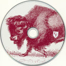 Foo Fighters - In Your Honor (CD) - Discords.nl