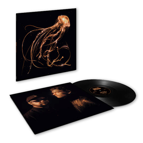 Royal Blood - Back to the water below (LP) - Discords.nl