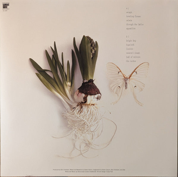 David Eugene Edwards - Hyacinth (LP) - Discords.nl