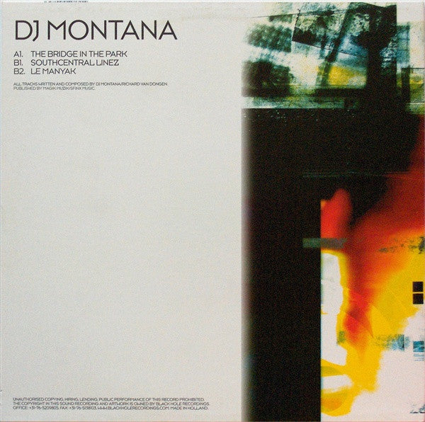 DJ Montana - The Bridge In The Park (12" Tweedehands) - Discords.nl