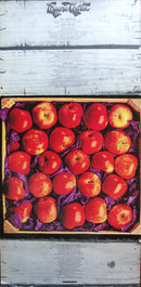 Magna Carta - Songs From Wasties Orchard (LP Tweedehands) - Discords.nl