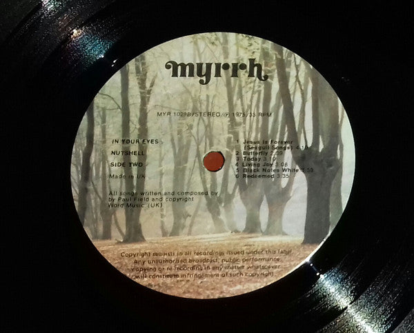 Nutshell (2) - In Your Eyes (LP Tweedehands) - Discords.nl