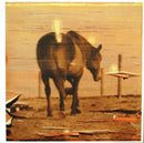 R.E.M. - Reveal (CD) - Discords.nl