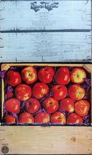 Magna Carta - Songs From Wasties Orchard (LP Tweedehands) - Discords.nl