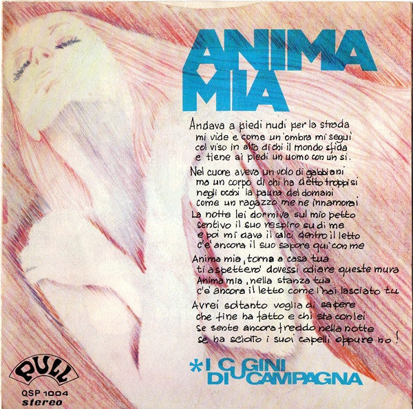 I Cugini Di Campagna - Anima Mia (7-inch Tweedehands) - Discords.nl