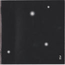 Quazar - Seven Stars (CD Tweedehands) - Discords.nl