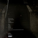 Tallest Man On Earth, The - Dark Bird Is Home (LP) - Discords.nl