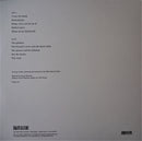 Tallest Man On Earth, The - Shallow Grave (LP) - Discords.nl