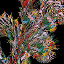 Weval - Remember (LP) (03-03-2023) - Discords.nl