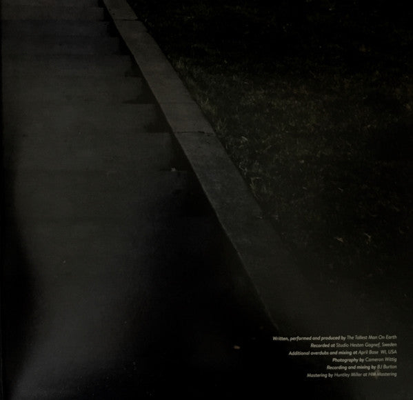 Tallest Man On Earth, The - Dark Bird Is Home (LP) - Discords.nl