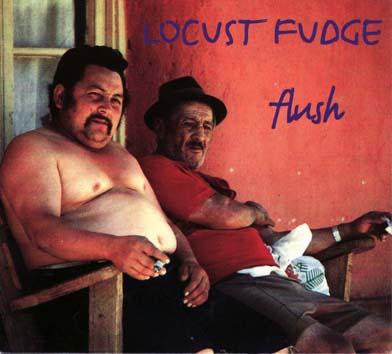 Locust Fudge - Flush (CD Tweedehands) - Discords.nl