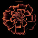 Siouxie & The Banshees - All Souls (LP) (21-10-2022) - Discords.nl