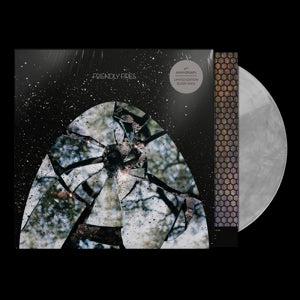 Friendly Fires - Friendly Fires (LP) - Discords.nl