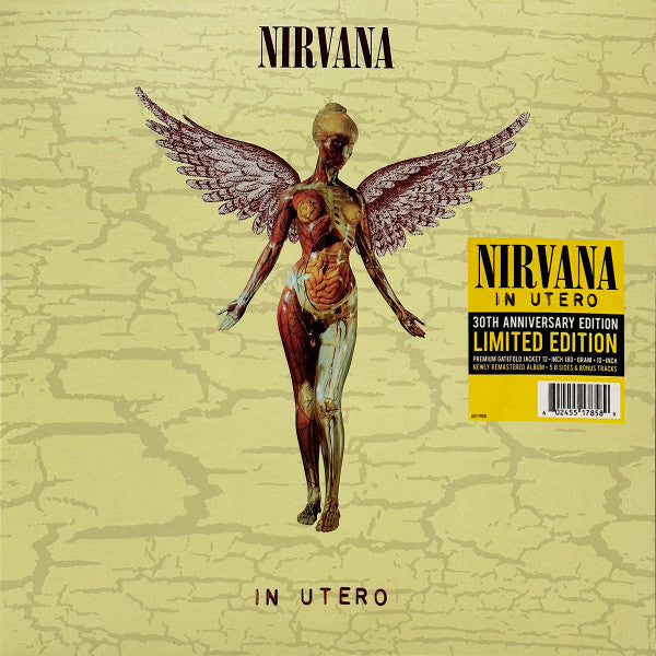 Nirvana - In Utero (LP) - Discords.nl