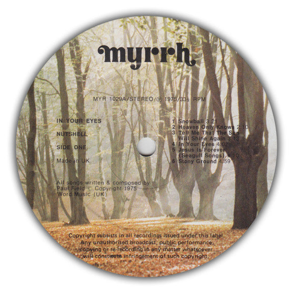 Nutshell (2) - In Your Eyes (LP Tweedehands) - Discords.nl