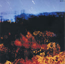 Bruce Springsteen - Working On A Dream (CD Tweedehands) - Discords.nl