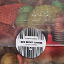 Spidergawd - Spidergawd IV (LP) - Discords.nl