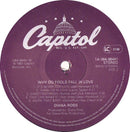 Diana Ross - Why Do Fools Fall In Love (LP Tweedehands) - Discords.nl