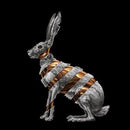 San Fermin - Jackrabbit (CD Tweedehands) - Discords.nl