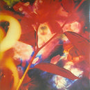 Heidi Berry - Love (LP Tweedehands) - Discords.nl