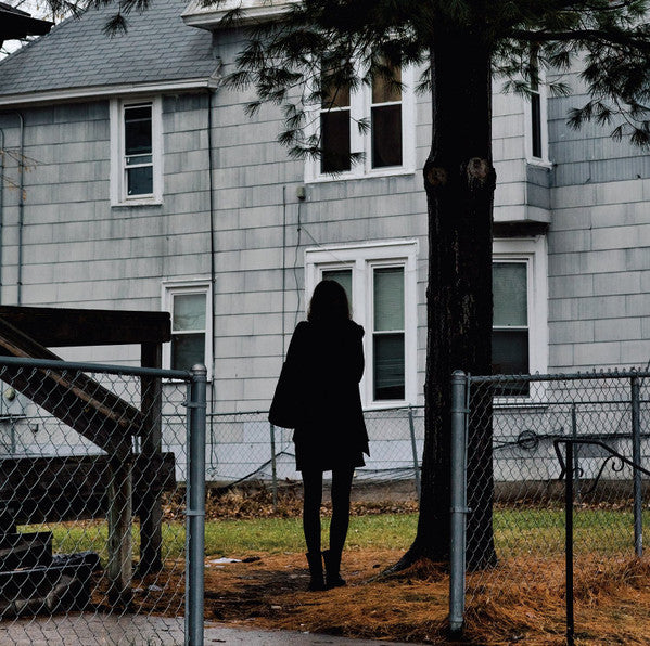 Tallest Man On Earth, The - Dark Bird Is Home (LP) - Discords.nl