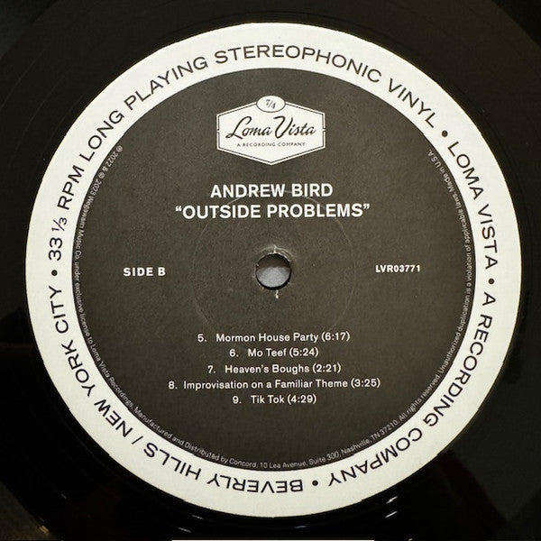 Andrew Bird - Outside Problems  (LP) - Discords.nl