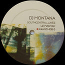 DJ Montana - The Bridge In The Park (12" Tweedehands) - Discords.nl