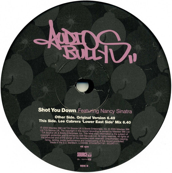 Audio Bullys Featuring Nancy Sinatra - Shot You Down (12" Tweedehands) - Discords.nl