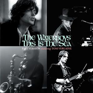 Waterboys - This is the Sea (10") - Discords.nl