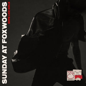 Boys Like Girls - Sunday At Foxwoods (LP) - Discords.nl