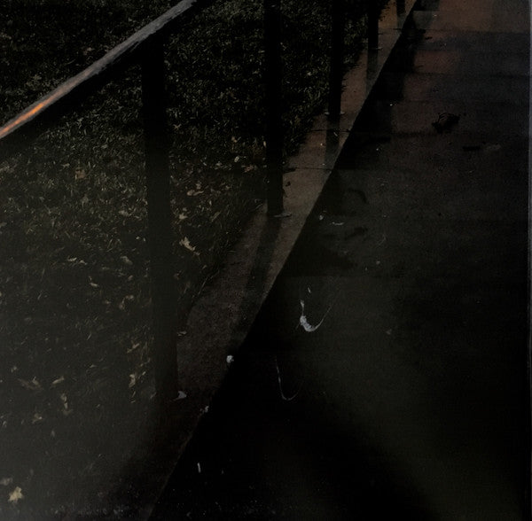Tallest Man On Earth, The - Dark Bird Is Home (LP) - Discords.nl