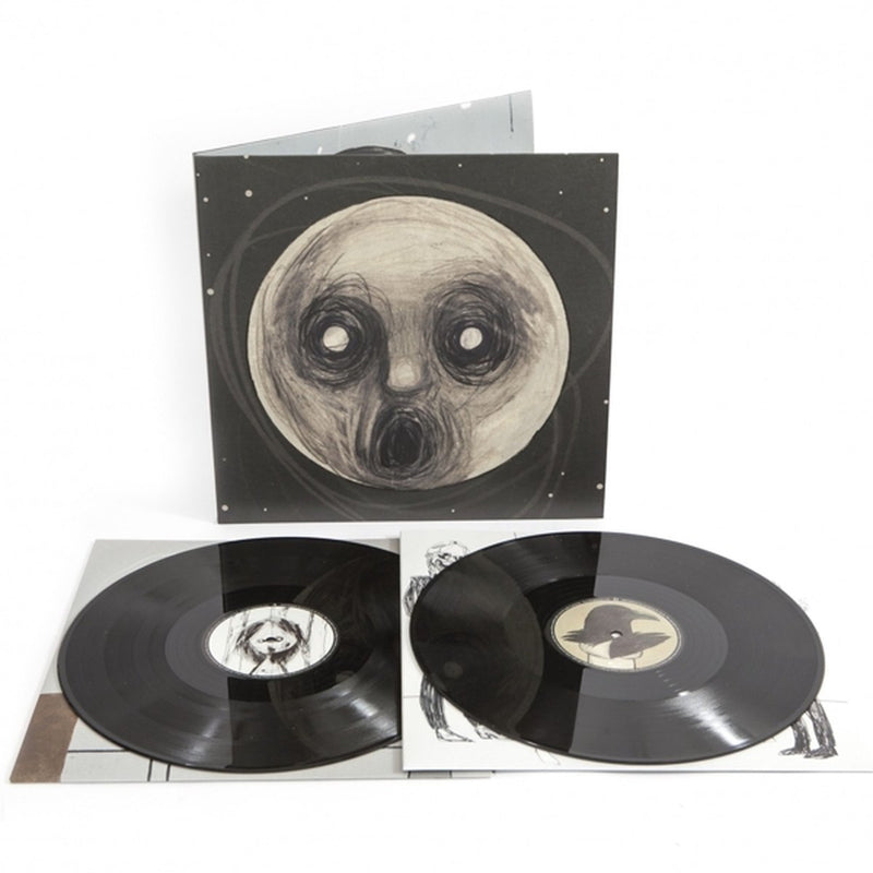 Steven Wilson - Raven That Refused To Sing (LP) - Discords.nl