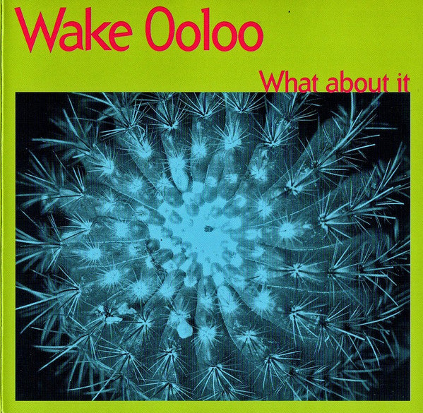 Wake Ooloo - What About It (CD Tweedehands) - Discords.nl